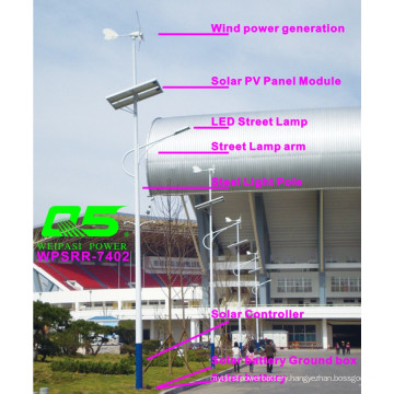 WPSRR-7402 3~15m Municipal Road Hot DIP Galvanized Steet Light Pole style